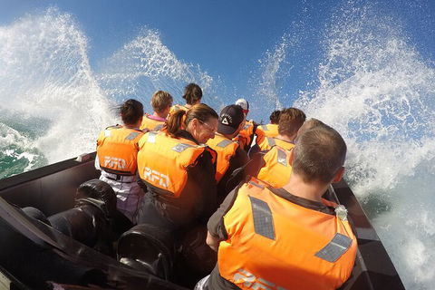 Noosa Thriller - 500hp Ocean Adventure Ride - Accommodation Georgetown 4