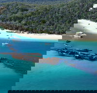 All Inclusive Tangalooma Wrecks Cruise Tour From Gold Coast - Accommodation Georgetown