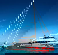 Passions of Paradise Great Barrier Reef Snorkel and Dive Cruise from Cairns by Luxury Catamaran - Accommodation Georgetown