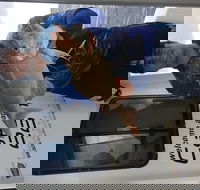 3/4 Day 7 Hour Offshore Fishing Charter - Accommodation Georgetown