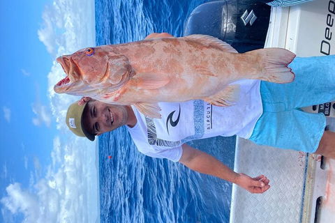 3/4 Day 7 Hour Offshore Fishing Charter - Accommodation Georgetown 5