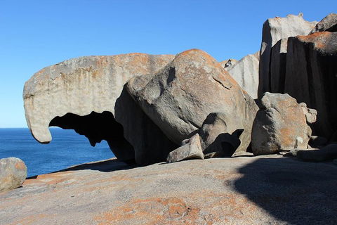Kangaroo Island Personal Group Tours - Accommodation Georgetown 2