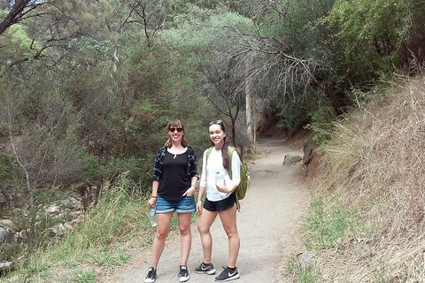 Self-Guided Waterfall Gully To Mount Lofty Hike From Adelaide - Accommodation Georgetown 4