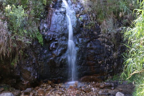 Self-Guided Waterfall Gully To Mount Lofty Hike From Adelaide - Accommodation Georgetown 5