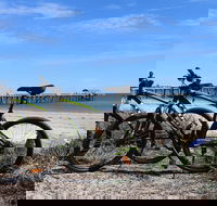 Adelaide City to Sea Bike Tour - Accommodation Georgetown