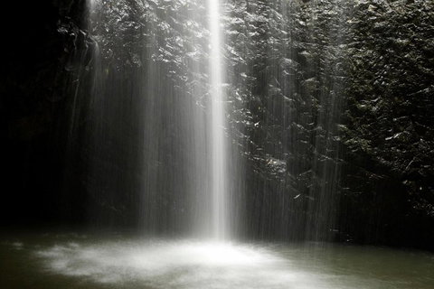 Natural Bridge Glow Worm Night Tour From Gold Coast - Accommodation Georgetown 2