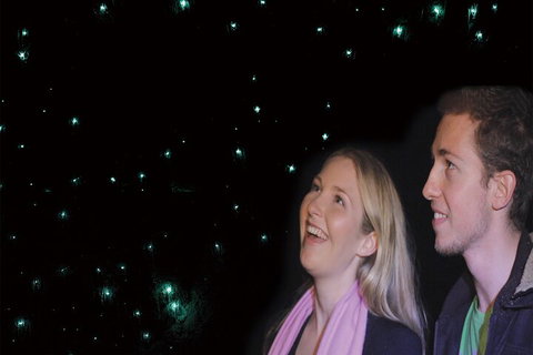 Natural Bridge Glow Worm Night Tour From Gold Coast - Accommodation Georgetown 3