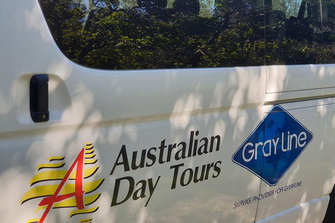 Natural Bridge Glow Worm Night Tour From Gold Coast - Accommodation Georgetown 5