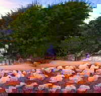 Byron Bay and the Crystal Castle Day Tour from Gold Coast - Accommodation Georgetown