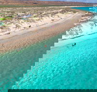 Ningaloo in a Day - Full Day Hike and Snorkel Tour with Lunch - Accommodation Georgetown