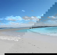 Shipwreck Special Nature Tour/Half Day Tour - Accommodation Georgetown