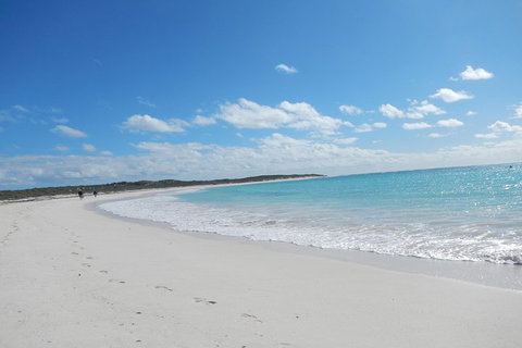Shipwreck Special Nature Tour/Half Day Tour - Accommodation Georgetown 0