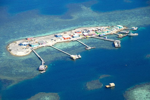 Shipwreck Special Nature Tour/Half Day Tour - Accommodation Georgetown 2