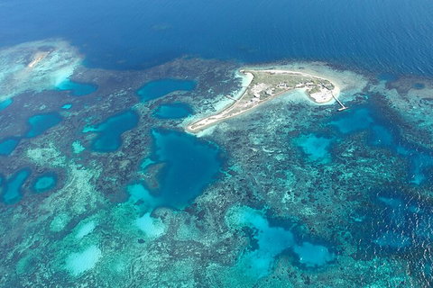 Shipwreck Special Nature Tour/Half Day Tour - Accommodation Georgetown 5