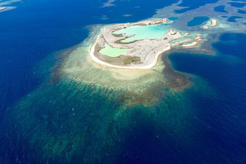 Abrolhos Islands Fixed-Wing Scenic Flight - Accommodation Georgetown 4