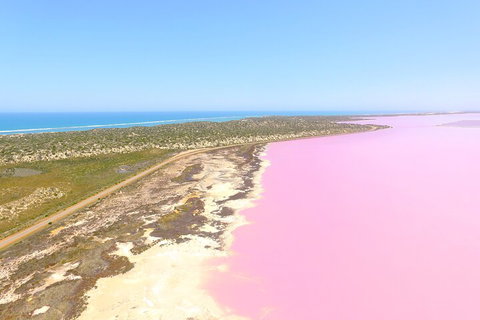 70-minute Pink Lake Scenic Flight - Accommodation Georgetown 5