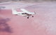 Pink Lake + Abrolhos Islands Nature Tour - thumb 0