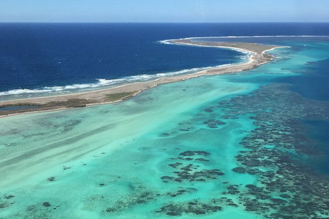 Pink Lake + Abrolhos Islands Nature Tour - Accommodation Georgetown 2