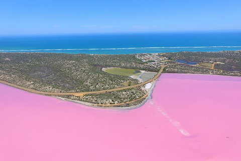 Pink Lake + Abrolhos Islands Nature Tour - Accommodation Georgetown 4