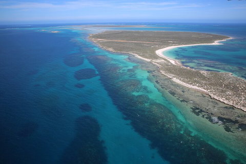 Pink Lake + Abrolhos Islands Scenic Flight - Accommodation Georgetown 0