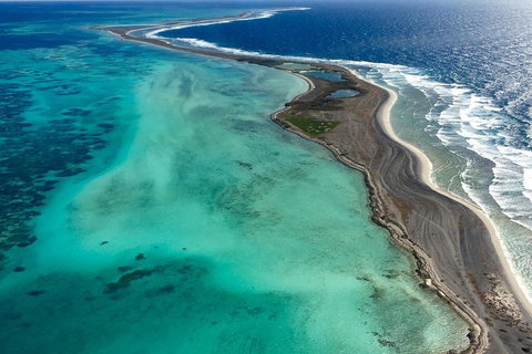 Pink Lake + Abrolhos Islands Scenic Flight - Accommodation Georgetown 3