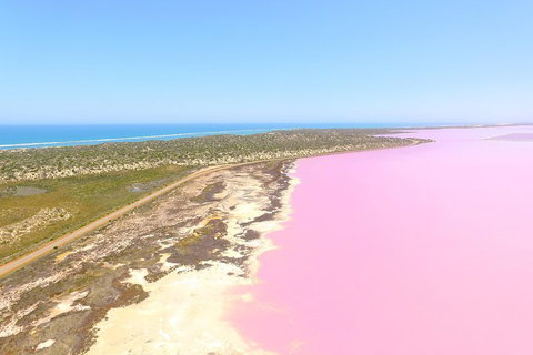 Pink Lake + Abrolhos Islands Scenic Flight - Accommodation Georgetown 4