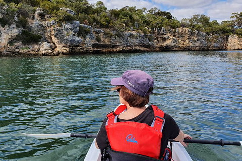 Cliffs And Caves Kayak Tour In Swan River - Accommodation Georgetown 0