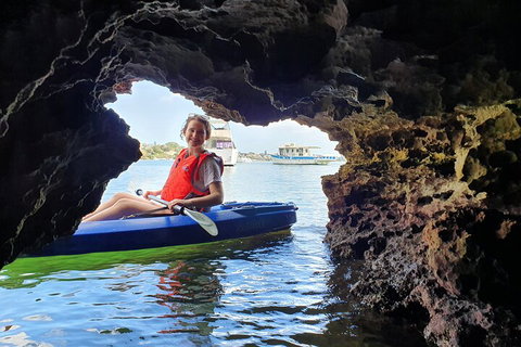 Cliffs And Caves Kayak Tour In Swan River - Accommodation Georgetown 1