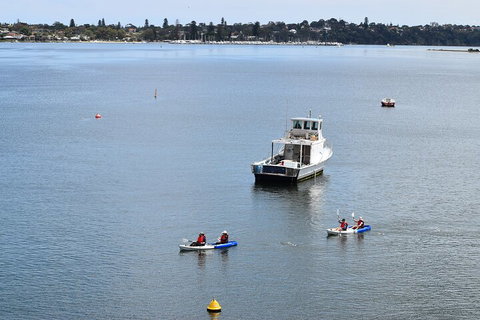 Cliffs And Caves Kayak Tour In Swan River - Accommodation Georgetown 2
