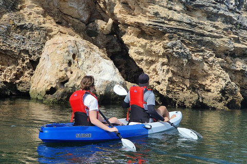 Cliffs And Caves Kayak Tour In Swan River - Accommodation Georgetown 4