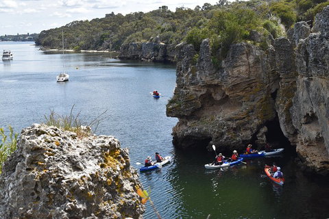 Cliffs And Caves Kayak Tour In Swan River - Accommodation Georgetown 5