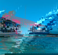 Best of Moreton Bay Cruise - Accommodation Georgetown