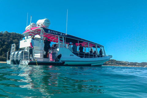 Best Of Moreton Bay Cruise - Accommodation Georgetown 0