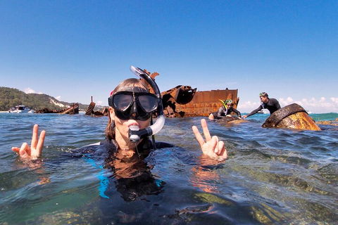 Best Of Moreton Bay Cruise - Accommodation Georgetown 4