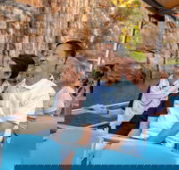 Katherine Day Tour from Darwin including Katherine Gorge Cruise - Accommodation Georgetown