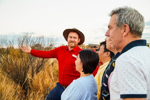 Uluru (Ayers Rock) Sunset With Outback Barbecue Dinner And Star Tour - Accommodation Georgetown 3