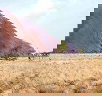 Uluru Sunrise and Guided Base Walk - Accommodation Georgetown