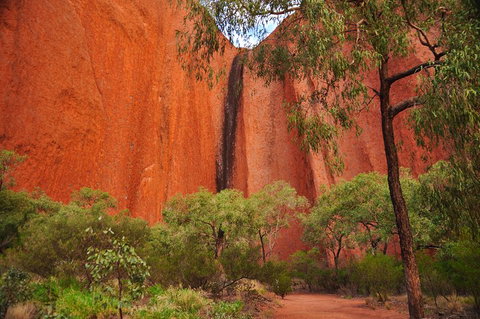 Uluru Sunrise And Guided Base Walk - Accommodation Georgetown 3