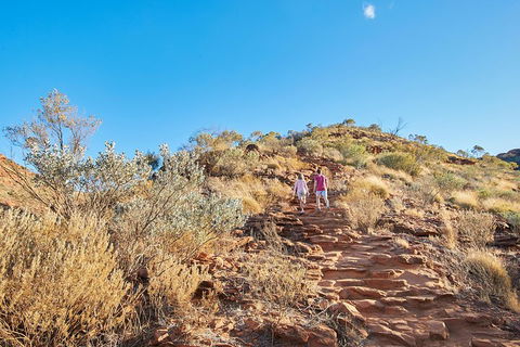 Kings Canyon Guided Rim Walk - Accommodation Georgetown 1