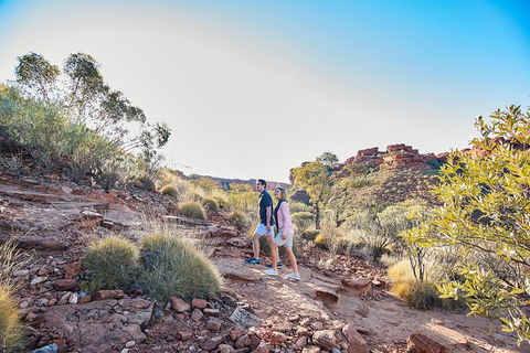 Kings Canyon Guided Rim Walk - Accommodation Georgetown 5