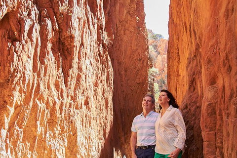 Best Of Alice Springs Full Day Tour - Accommodation Georgetown 4