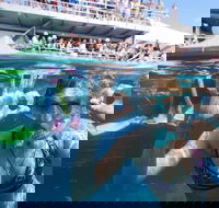 Great Barrier Reef Day Cruise from Cairns Including Snorkeling and Marine Biologist Presentation - Accommodation Georgetown