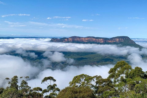 Small-Group Blue Mountains Tour With A Local Guide - Accommodation Georgetown 4
