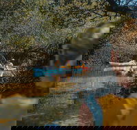 Kayak Tour in Adelaide Dolphin Sanctuary - Accommodation Georgetown