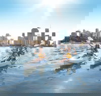 Brisbane Kayak Tour - Accommodation Georgetown