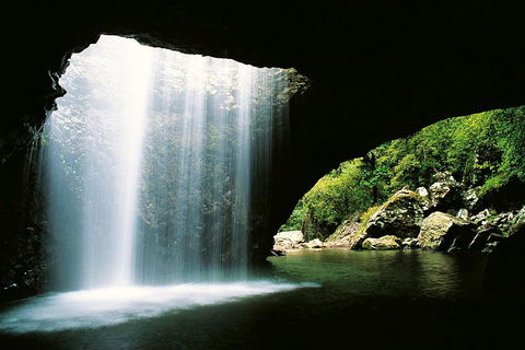 Natural Bridge & Springbrook Waterfalls Tour - Accommodation Georgetown 0