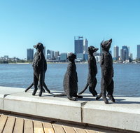 Perth by Bike Private Tour with a Local - Accommodation Georgetown