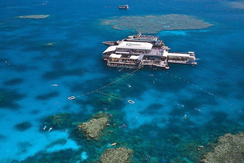 Quicksilver Outer Great Barrier Reef Snorkel Cruise From Palm Cove - Accommodation Georgetown 1