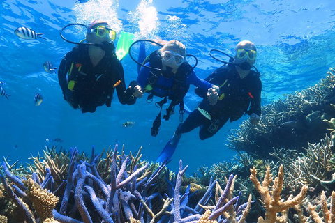 Quicksilver Outer Great Barrier Reef Snorkel Cruise From Palm Cove - Accommodation Georgetown 3