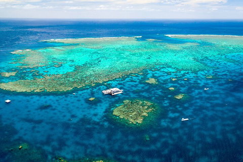 Quicksilver Outer Great Barrier Reef Snorkel Cruise From Palm Cove - Accommodation Georgetown 4